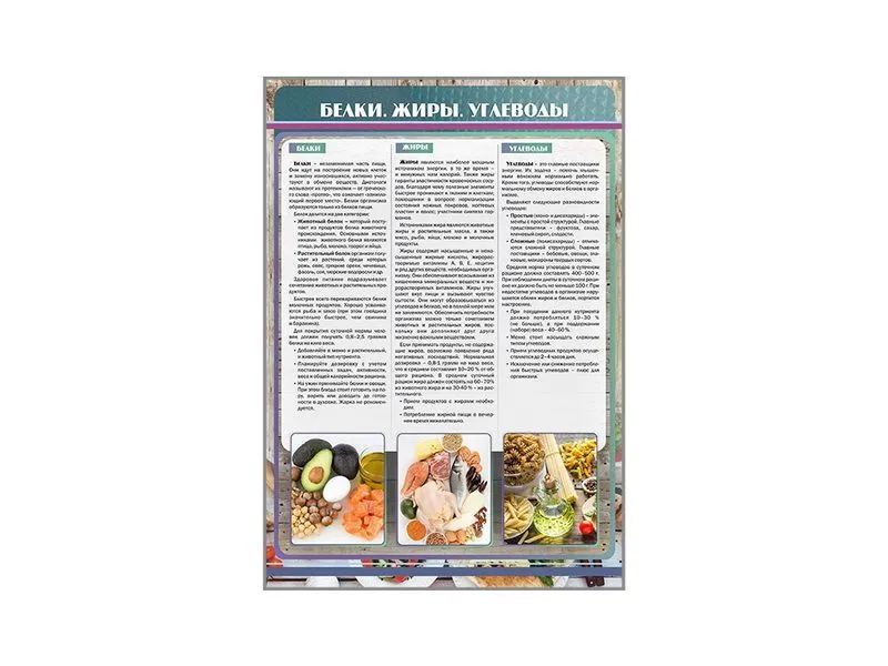 Стенд "Белки. Жиры. Углеводы" 700×1000 мм