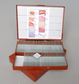 Комплект микропрепаратов «Анатомия» 110 шт.