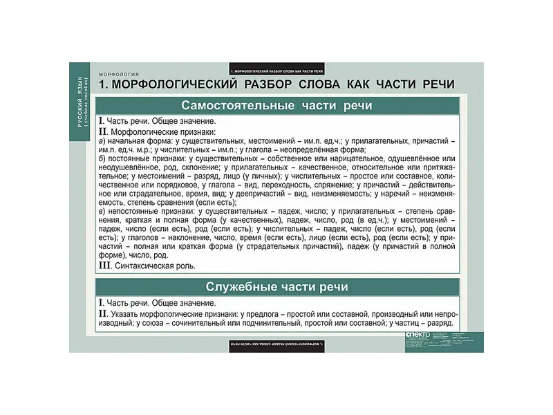 Таблицы «Русский язык. Морфология» — 68×98 см