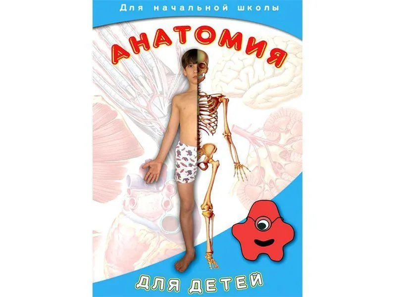 DVD-диск Анатомия для детей