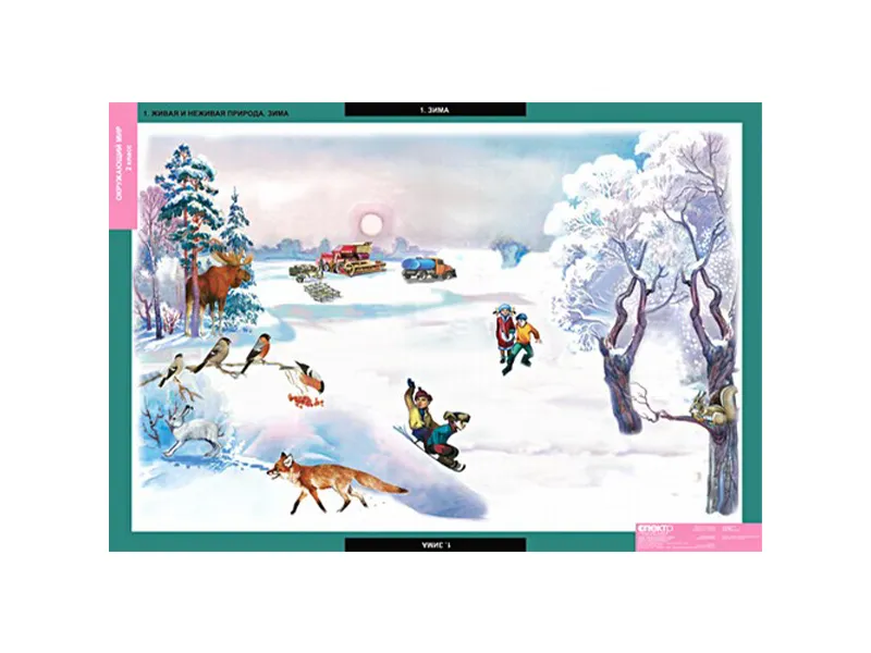 Тематические таблицы «Окружающий мир» для 2 класса 68×98 см