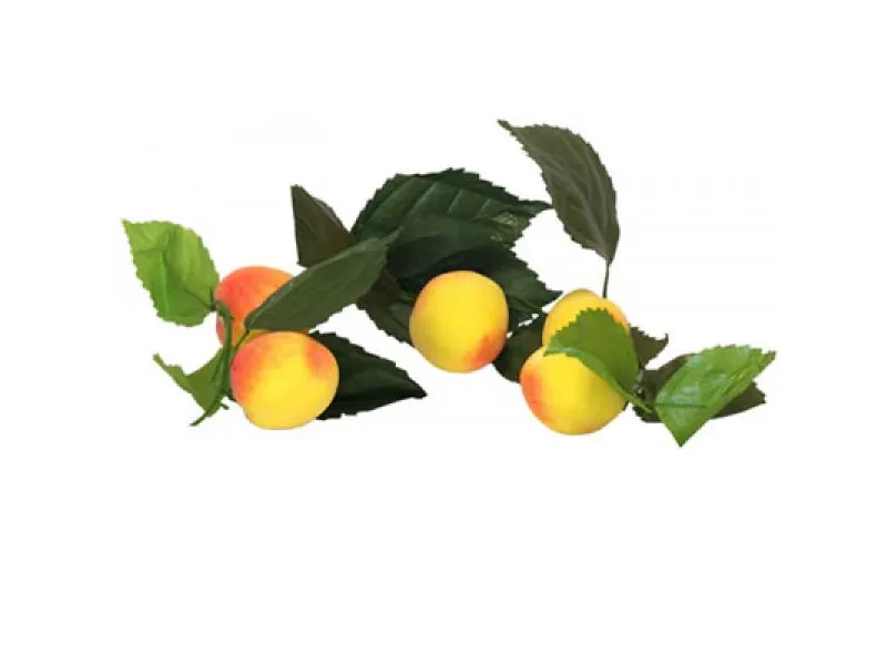 Ветка муляжей «Абрикосы» — натуральная окраска