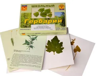 Гербарий «Систематика растений» — раздаточный