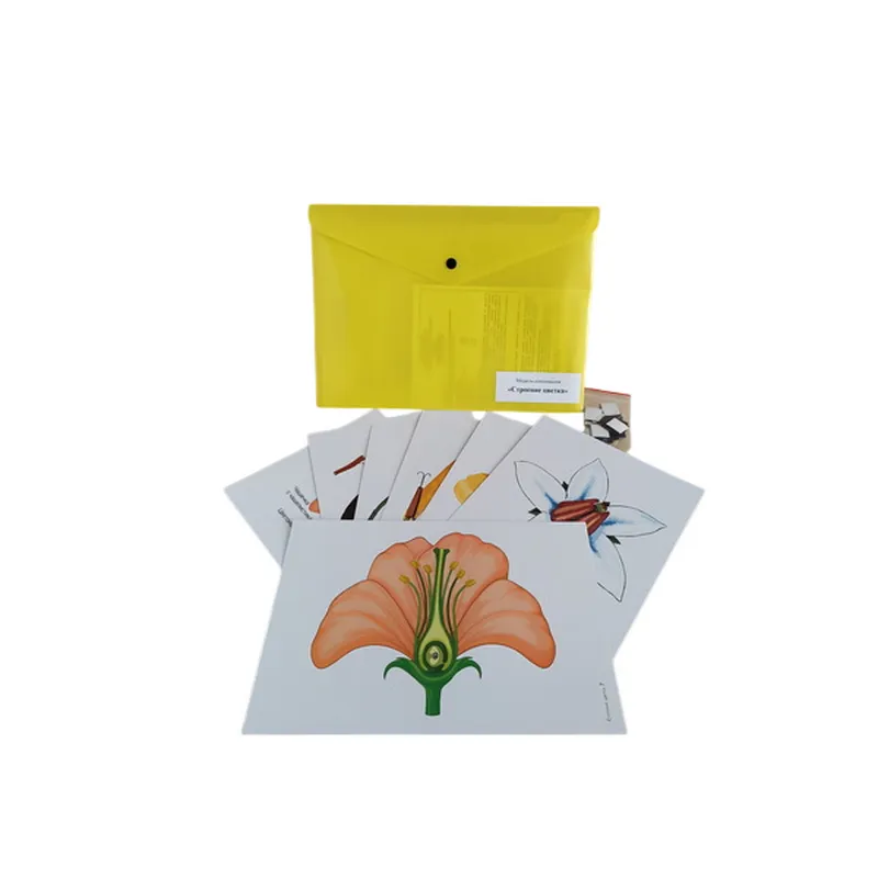 Комплект демонстрационных моделей-аппликаций (3 модели)