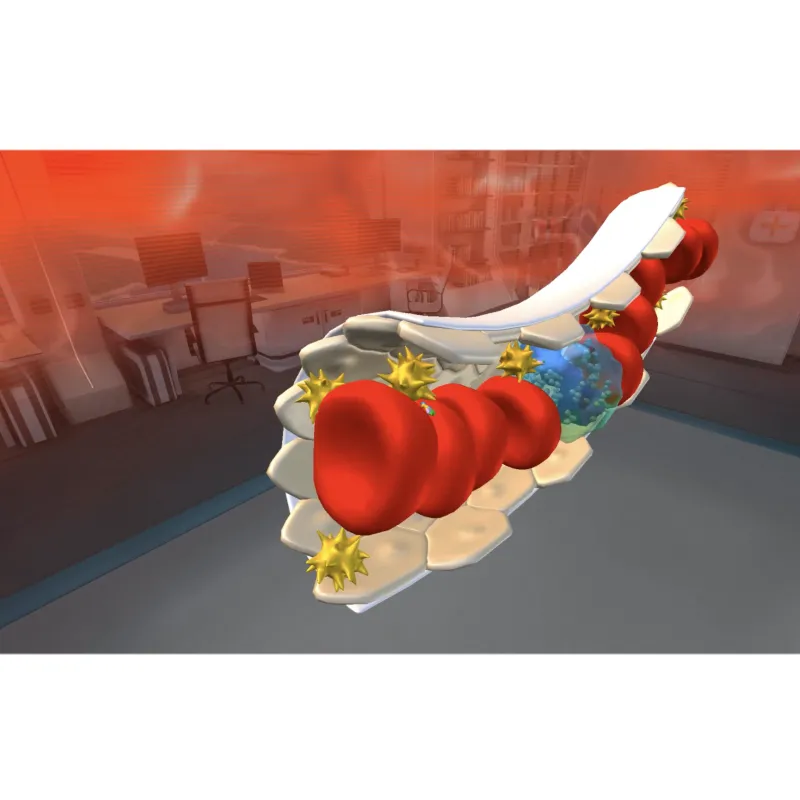 Биология «Цитология VR» 5-11 класс Модум Лаб