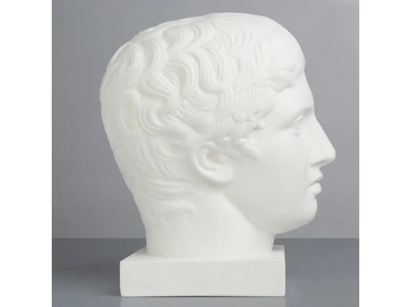 Голова Дорифора — гипсовая модель в натуральную величину