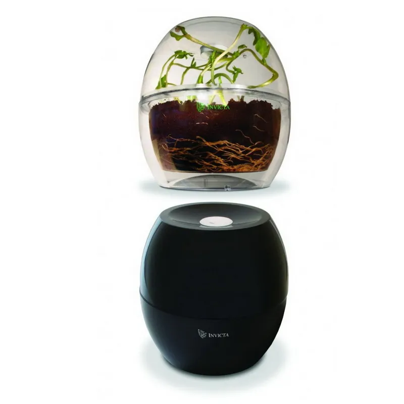 Набор для выращивания растений — школьный эксперимент