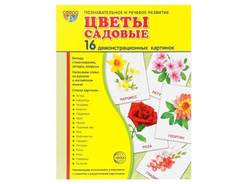 Демонстрационные карточки «Садовые цветы» 17,3×22 см