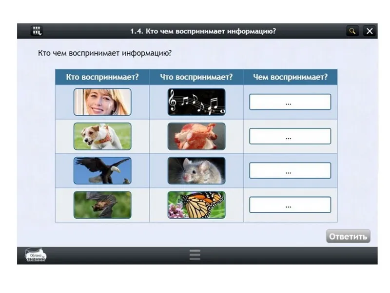 Электронные образовательные ресурсы по предмету Информатика (7 класс)