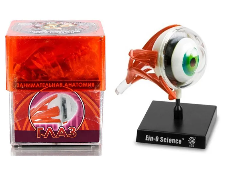 Набор Профессор Эйн: Глаз