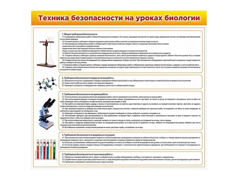 Стенд «Техника безопасности» для уроков биологии 100×90 см