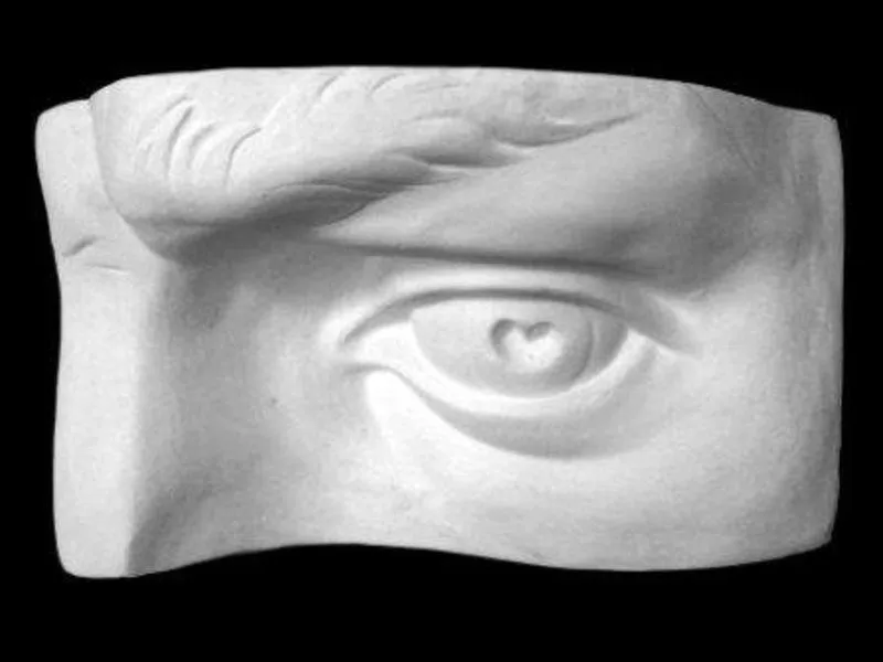 Гипсовая модель левого глаза