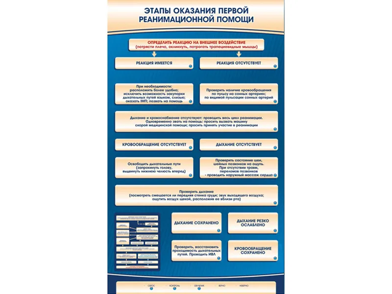 Электрифицированный стенд-тренажер Этапы оказания первой реанимационной помощи