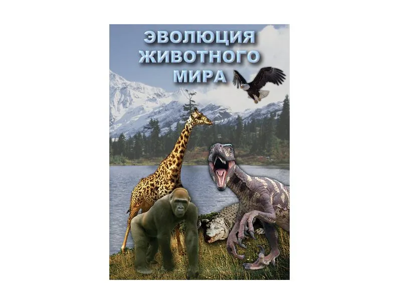 Эволюция животного мира — учебный фильм на DVD