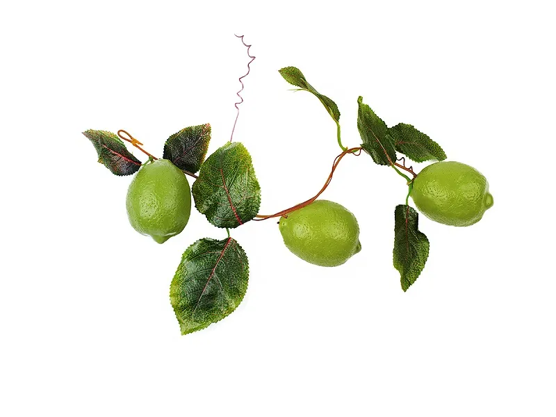 Ветка муляжей Лайм