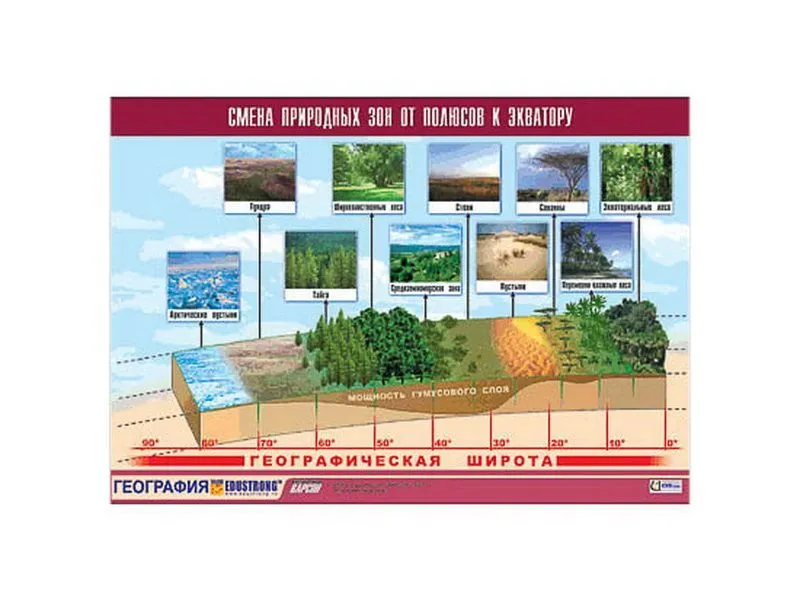 Демонстрационная таблица «Смена природных зон» 100×140 см