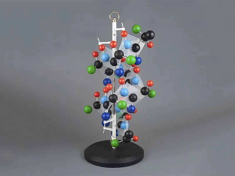 Модель «Структура белка» — демонстрационная