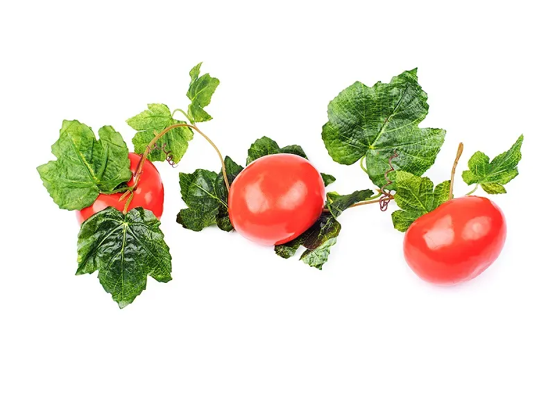 Ветка муляжей «Помидоры» для уроков и декора