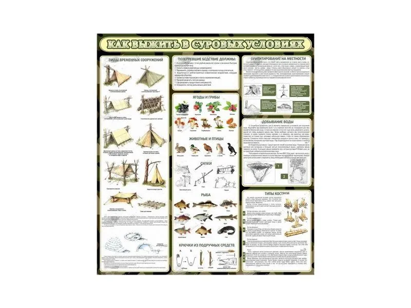 Стенд «Как выжить в суровых условиях» 0,9×1 м