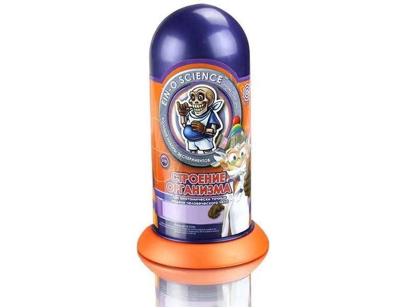 Набор Профессор Эйн: Строение организма