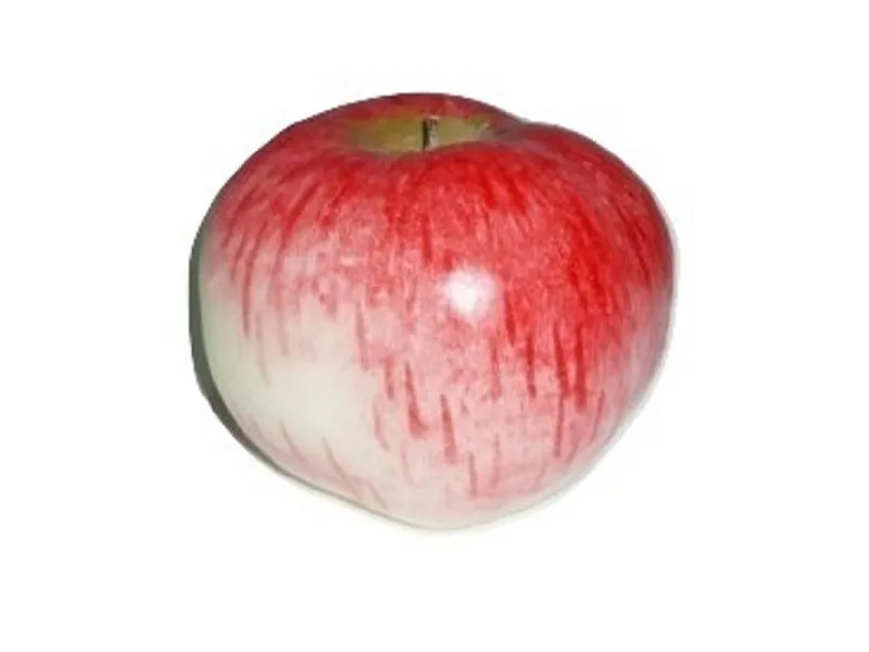 Муляж яблока «Кальвиль анисовый»