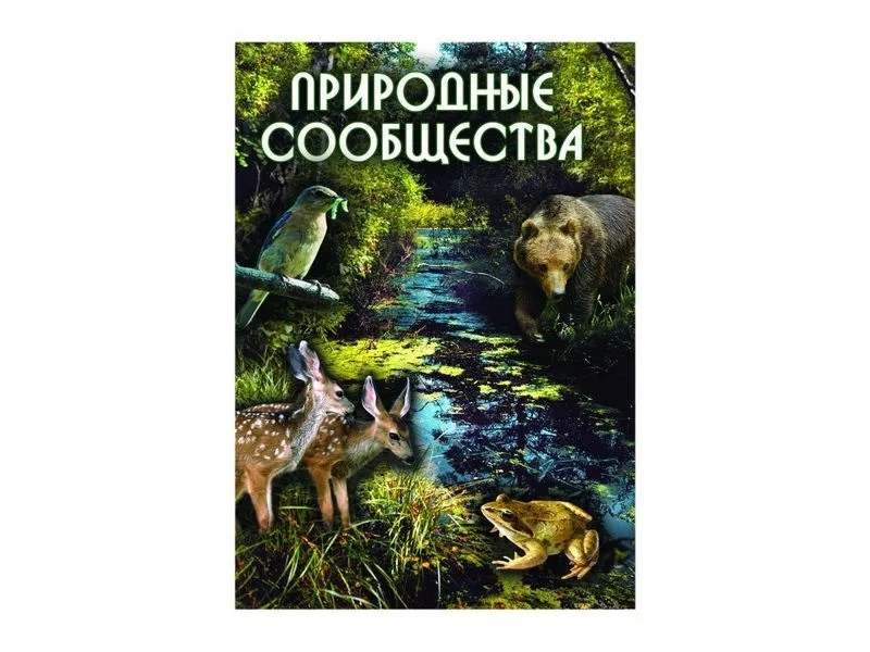 Компакт-диск «Природные сообщества» — MP4