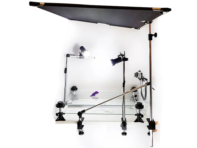 Мультстудия Эксперт