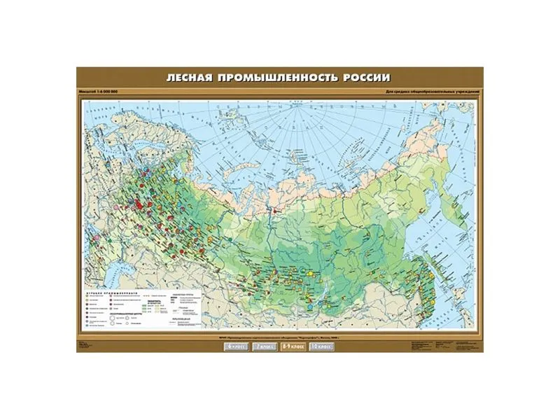 Учебная карта «Лесная промышленность России» 100×140 см