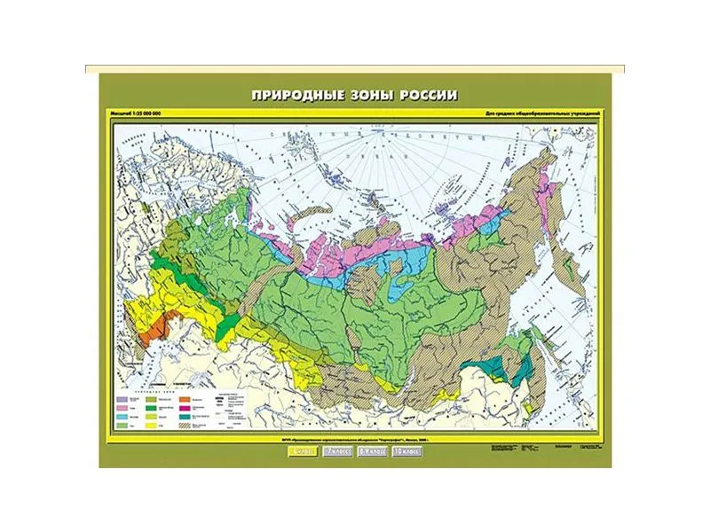 Учебная карта «Природные зоны России» 100×140 см