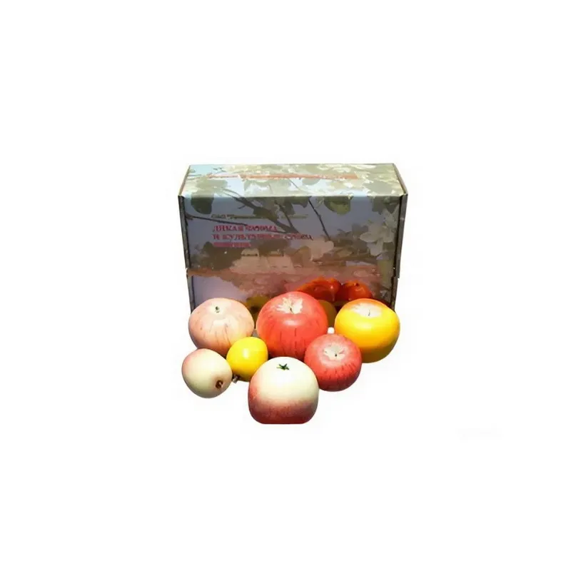 Набор муляжей «Дикая форма и культурные сорта яблок»