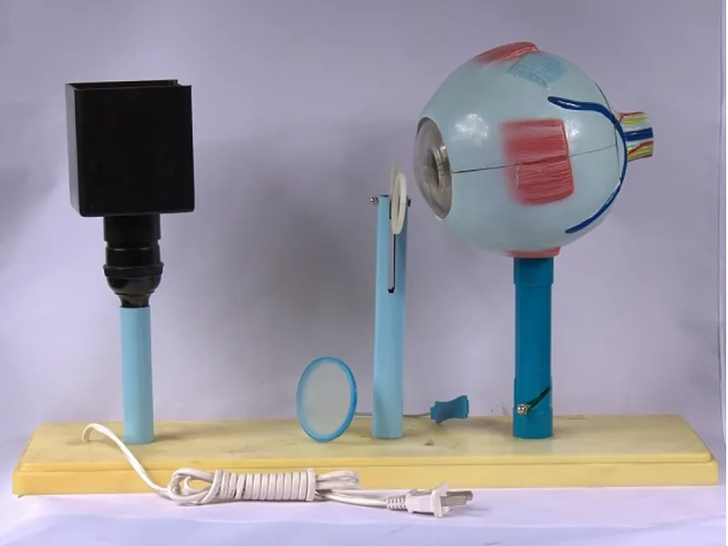 Прибор для демонстрации действия глаза (модель зрения)