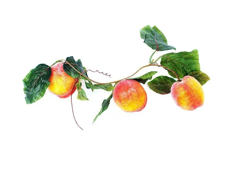 Ветка муляжей «Персики» в натуральных тонах