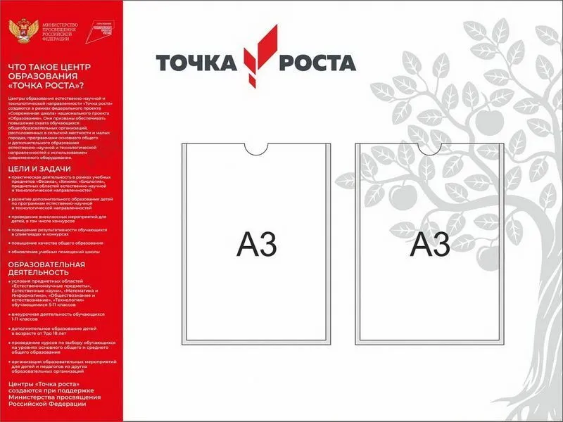 Стенд информационный «Точка роста» 120×90 см