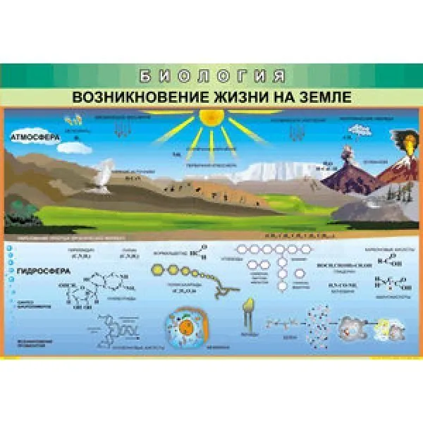 Плакат «Возникновение жизни на Земле» 70×100 см (винил)