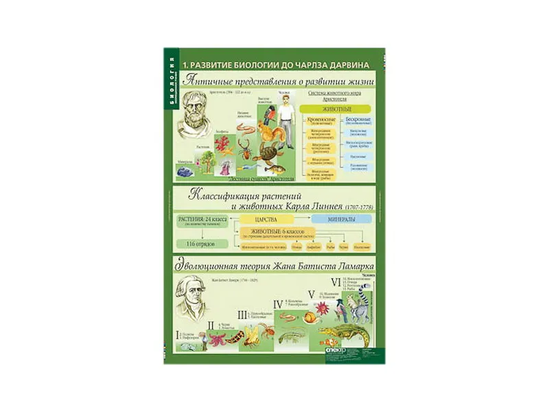 Таблицы демонстрационные: Эволюционное учение, 68×98 см