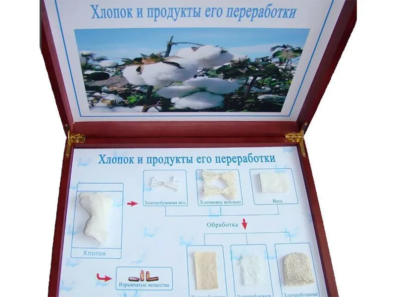 Набор «Хлопок и продукты переработки» 30×21×4.8 см