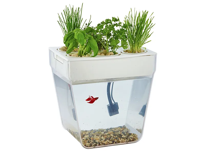 Набор для выращивания растений и ухода за рыбкой Акваферма