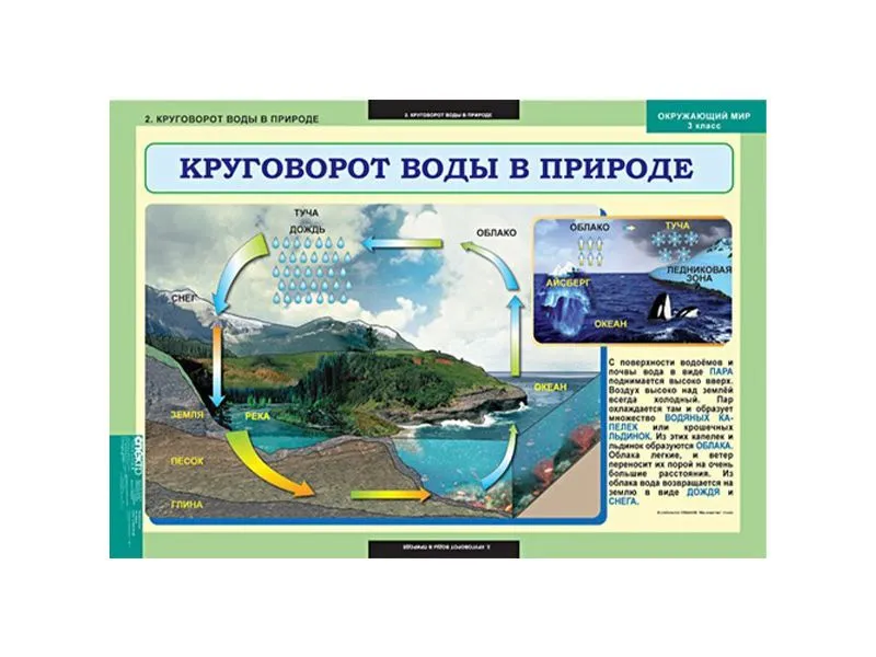 Таблицы «Окружающий мир» 3 класс — 68×98 см