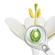 Кабинет биологии и экологии