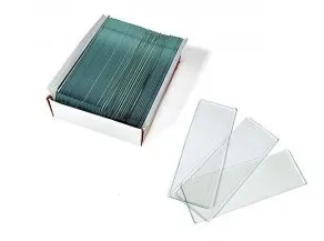 Стекла предметные G50, 50 шт.