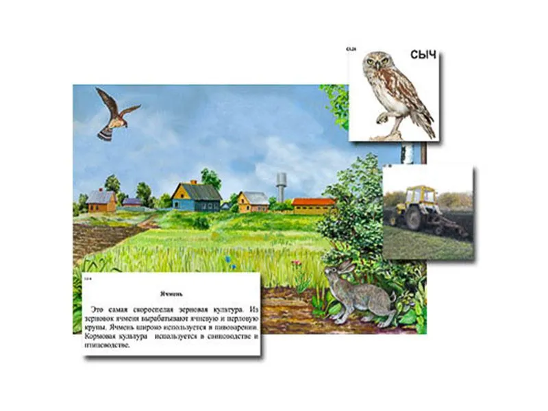 Магнитный плакат-аппликация «Поле» 90×60 см