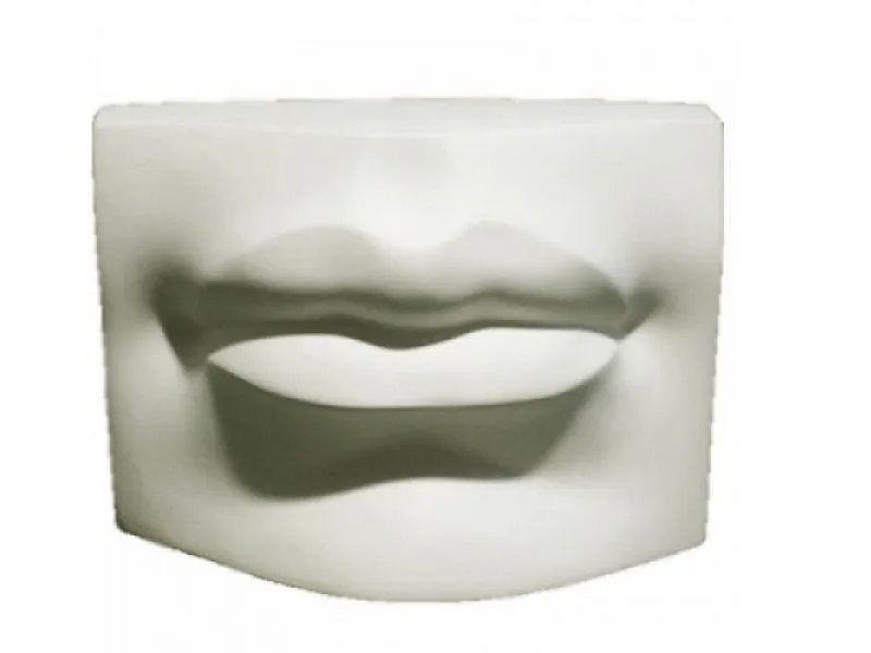 Гипсовая модель губ человека, увеличенная