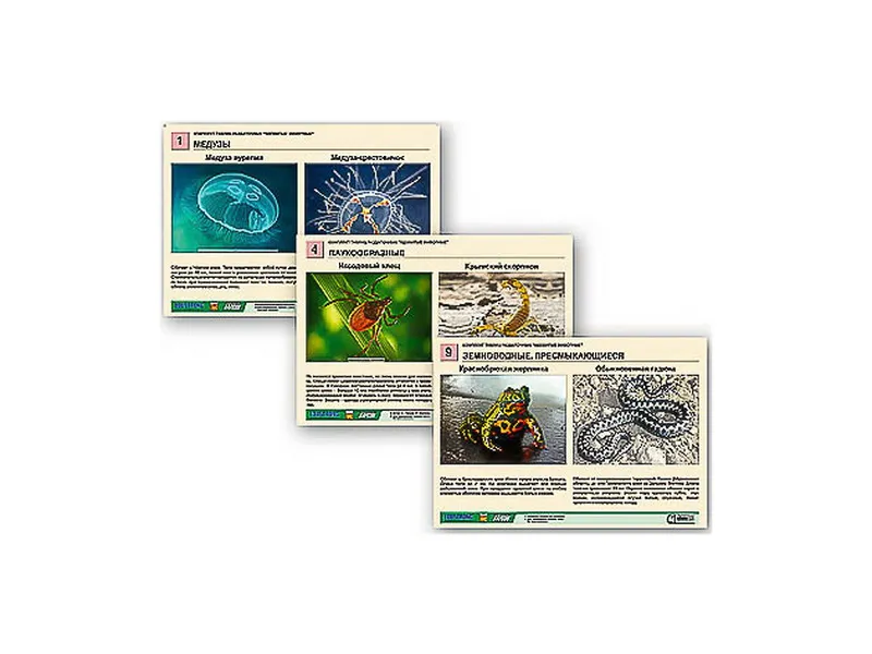 Раздаточные таблицы «Ядовитые животные», 9 листов A4