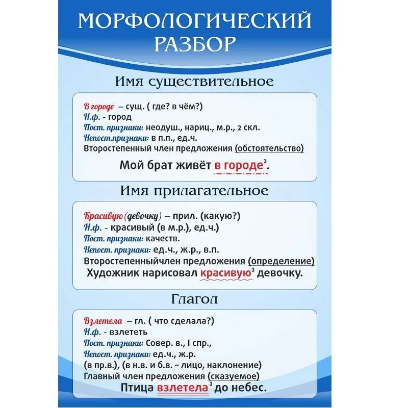 Стенд «Морфологический разбор» 0,6×0,9 м