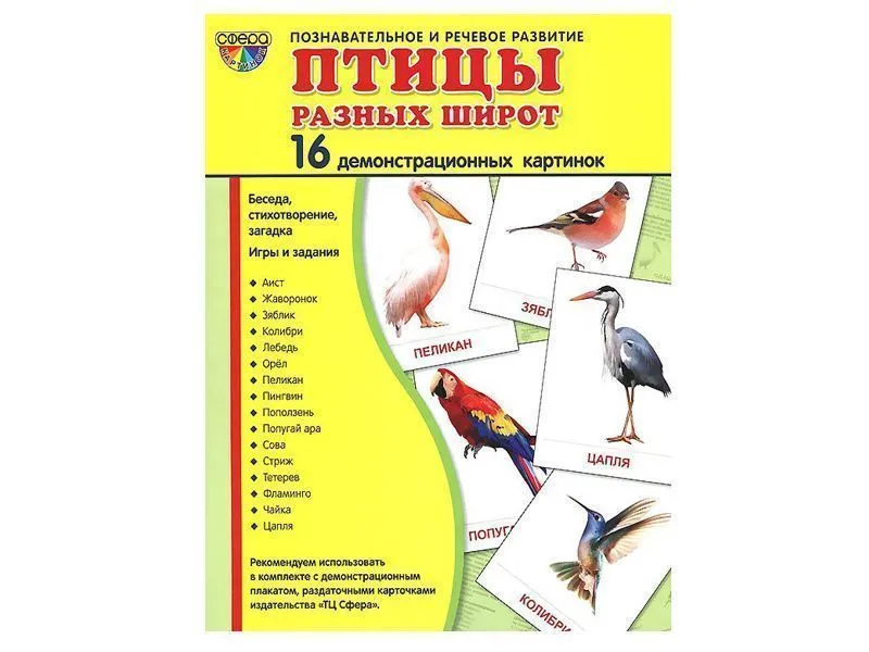 Демонстрационные картинки «Птицы разных широт» — 16 шт.