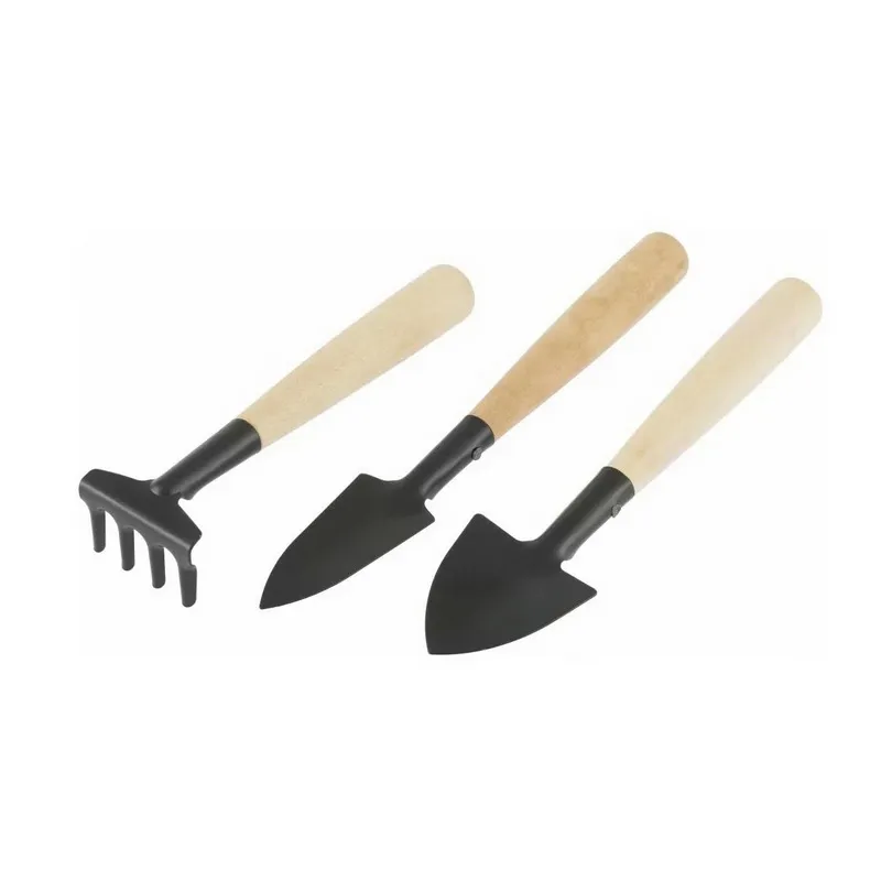 Обучающий комплект по уходу за комнатными растениями