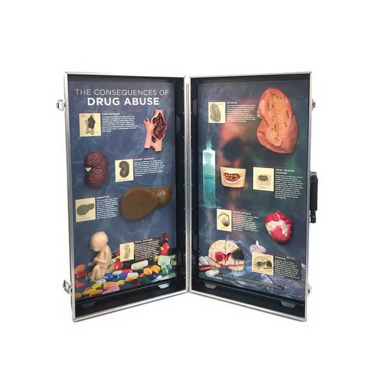 Объемный стенд Последствия злоупотребления наркотиками