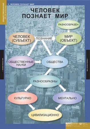 Демонстрационные таблицы «Обществознание» для 10–11 классов, 11 шт.
