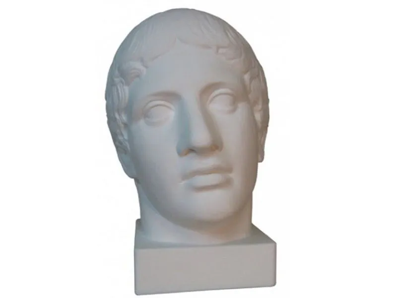 Голова Дорифора — гипсовая модель в натуральную величину