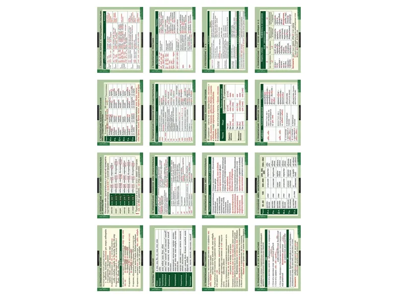 Русский язык 10 класс (таблицы 19 шт. 68х98 см)